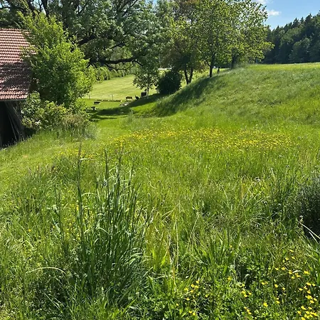 Buchmuehle