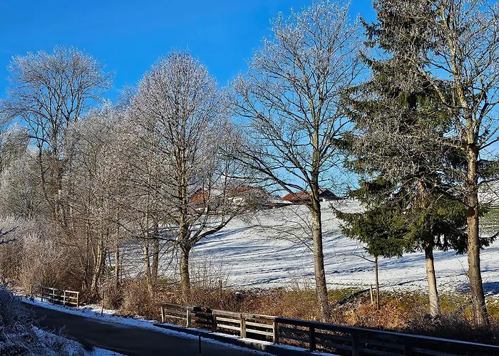 Apartament Buchmuehle *